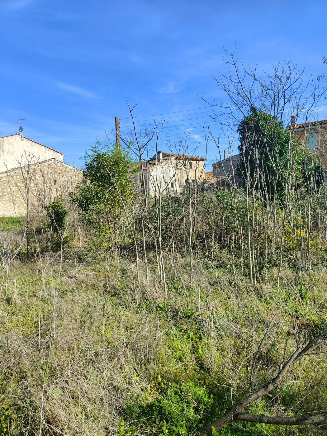 AUMELAS-CABRIALS